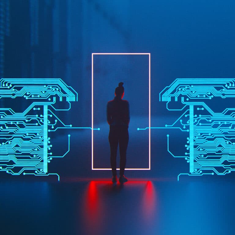 NetFoundry | Applications | zrokNet Frontdoor