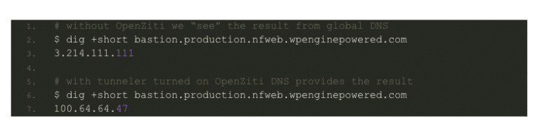 NetFoundry | Bastion