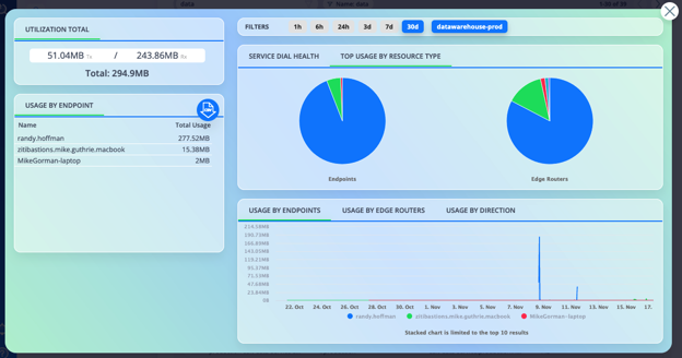Application dashboard showing network utilization with filters, charts, and graphs.