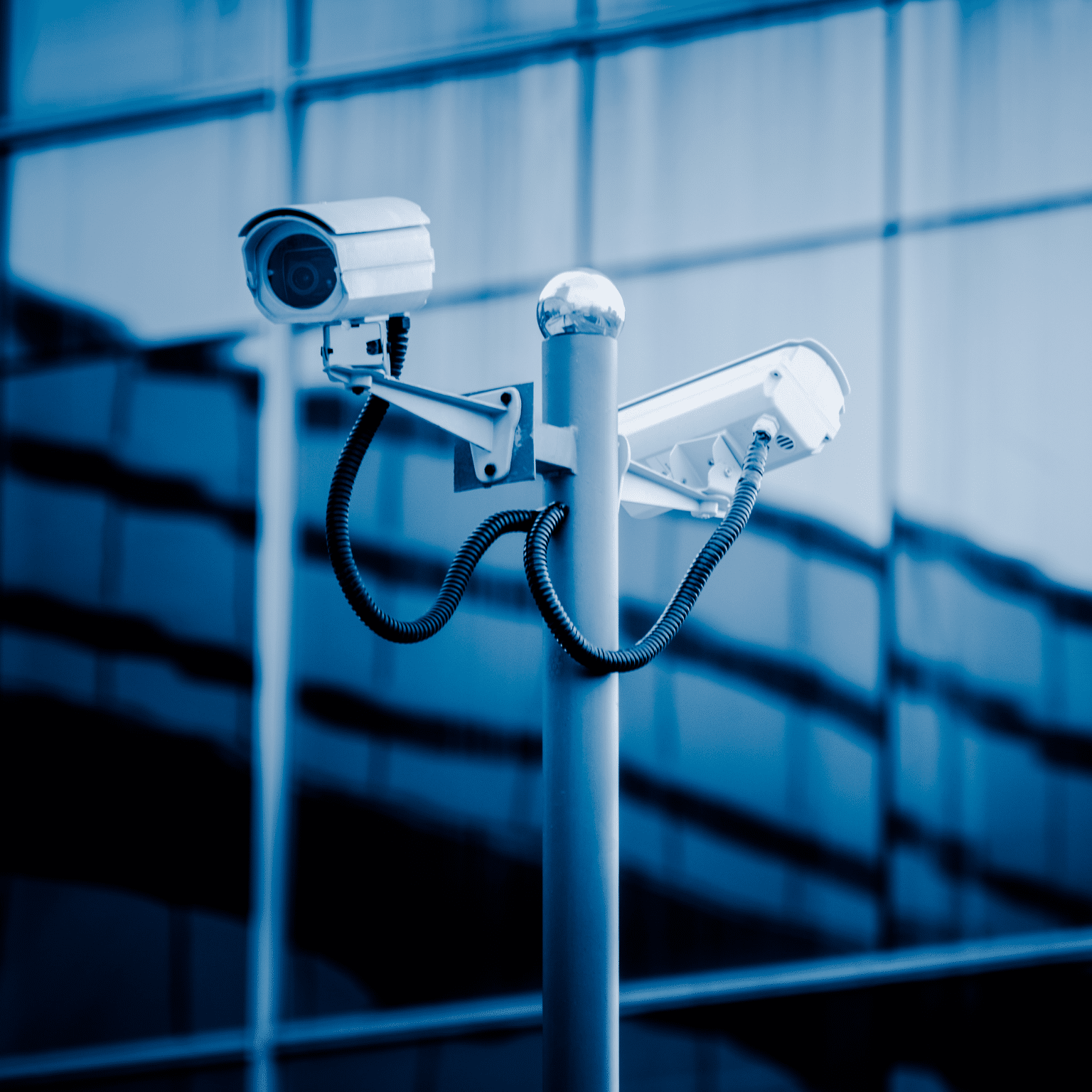 NetFoundry | LiveView Technologies