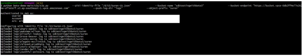 NetFoundry | Py Program Output